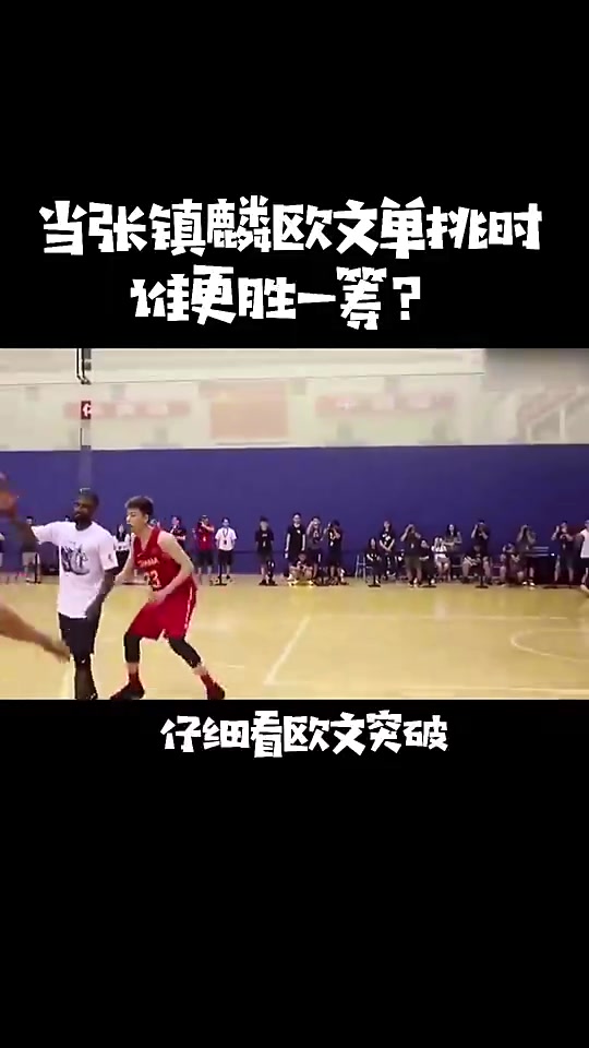 欧文vs张镇麟，感觉德鲁同学都没咋发力比赛就结束了😮